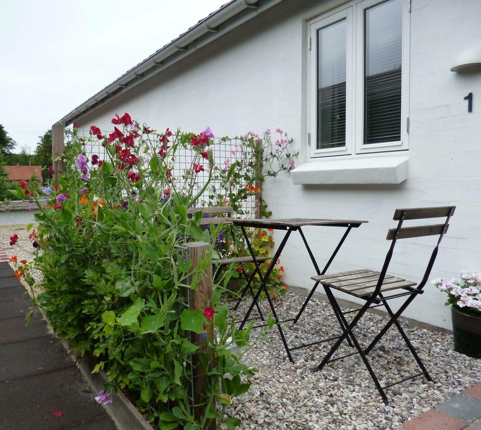 Bed and Breakfast Engholmbb Odense Exteriér fotografie